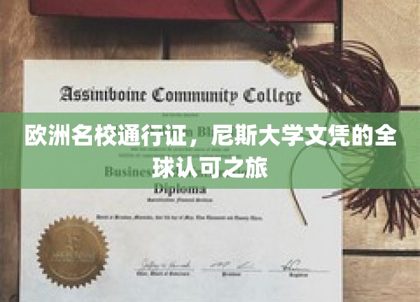 跨越欧陆的学术之旅，尼斯大学文凭，世界范围内的璀璨通行证