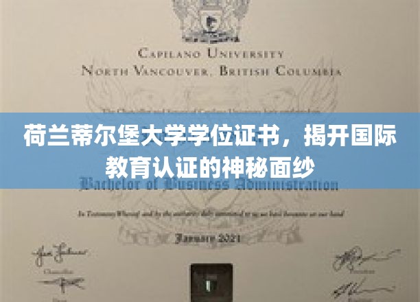 荷兰蒂尔堡大学学位证书，揭开国际教育认证的神秘面纱