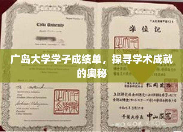 广岛大学学子成绩单，揭示学术成就的奥秘