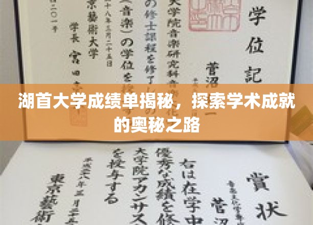 解码湖首大学成绩单，揭秘学术卓越背后的秘密通道