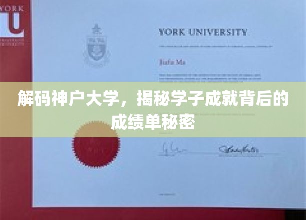 神户大学学霸养成记，揭秘高分背后的惊人成绩单