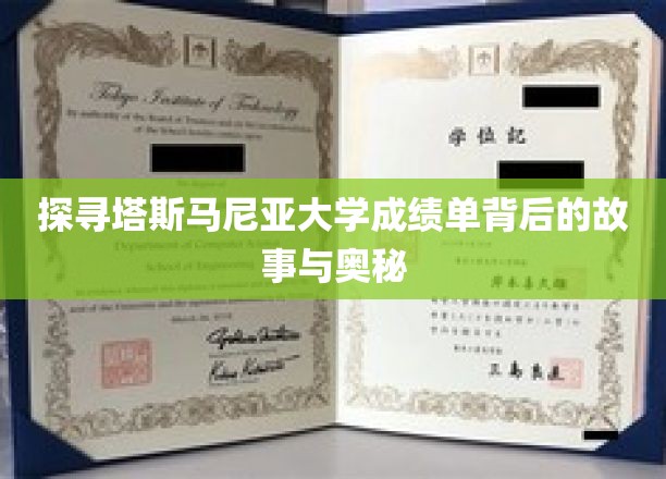 解码塔斯马尼亚大学成绩单，隐藏的学术传奇与真实面纱
