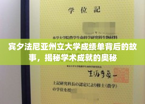 解码宾大成绩单，探寻学术精英背后的秘密之路