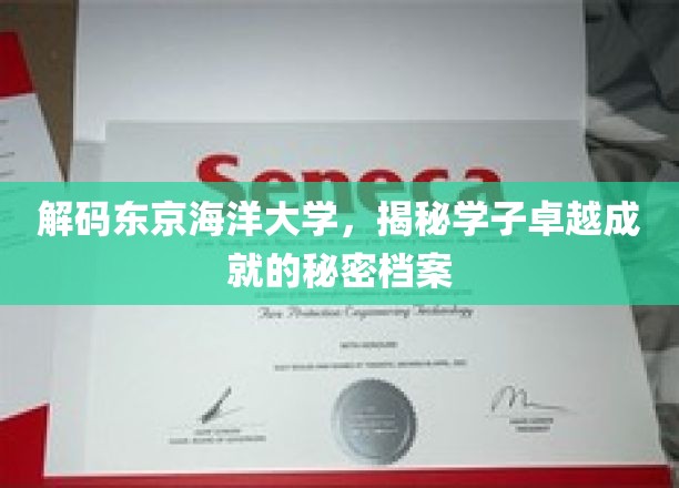 探寻东京海洋大学卓越学子背后的成长秘籍