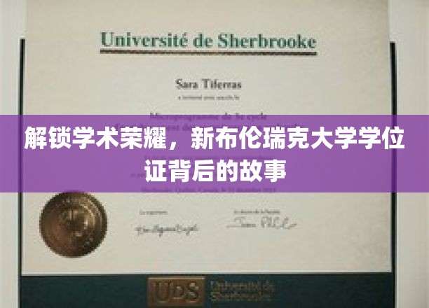 解码荣耀，新布伦瑞克大学学位证的传奇历程