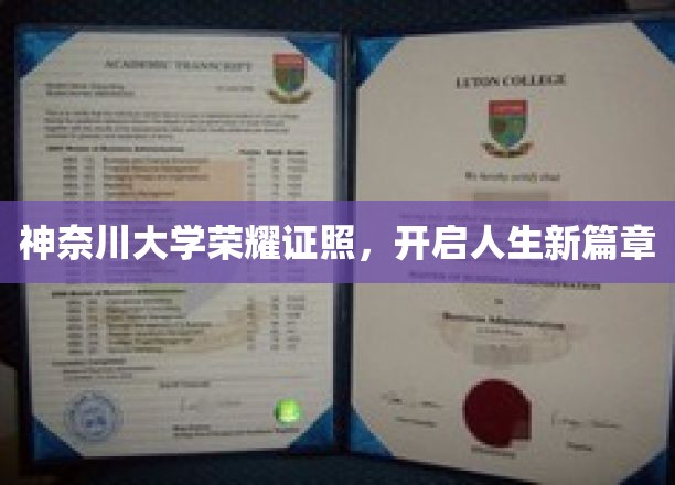 神奈川荣耀新启程，学子手握证照，梦想扬帆起航