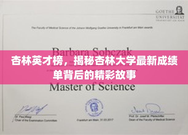 杏林英才榜，揭秘杏林大学最新成绩单背后的精彩故事