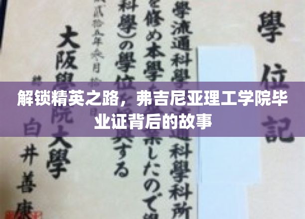探寻弗吉尼亚理工学院精英摇篮，毕业证书背后的非凡历程