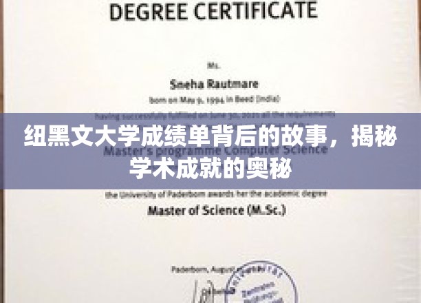 纽大成绩单，探寻学术辉煌背后的秘密之路