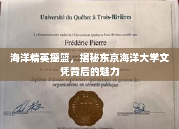 海洋梦想起航地，探寻东京海洋大学学位的独特魅力