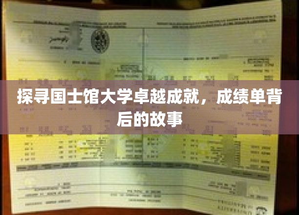 探寻国士馆大学卓越成就，成绩单背后的故事
