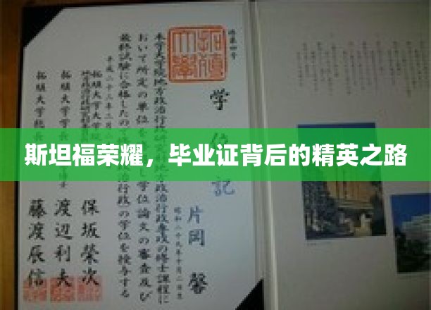 斯坦福之光，揭秘精英背后的毕业证传奇