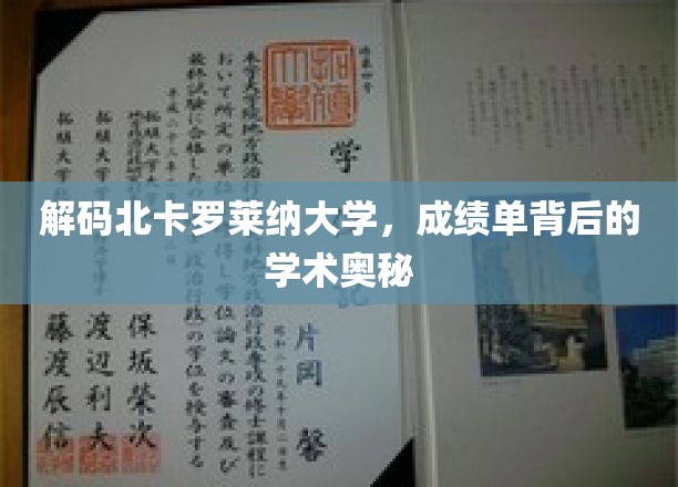 揭开北卡罗莱纳大学成绩单的学术密码