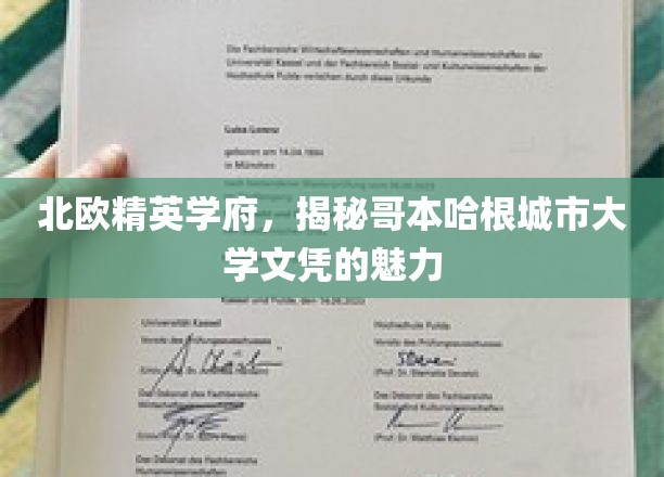 解码哥本哈根，北欧学府的卓越文凭魅力探秘
