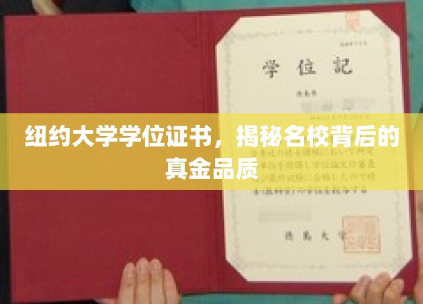 纽约大学学位背后，探寻顶级学府的璀璨价值
