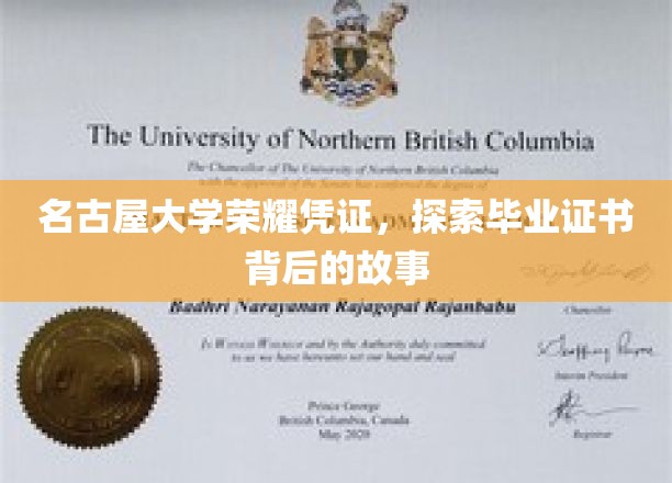 名古屋大学证书之谜，揭开荣耀凭证背后的传奇故事