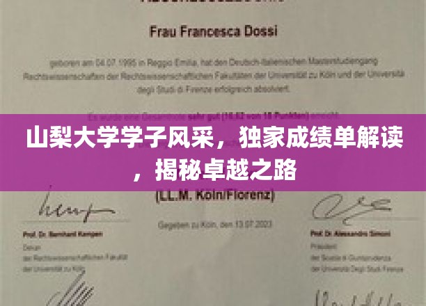 山梨大学学子风采，独家成绩单解读，揭秘卓越之路