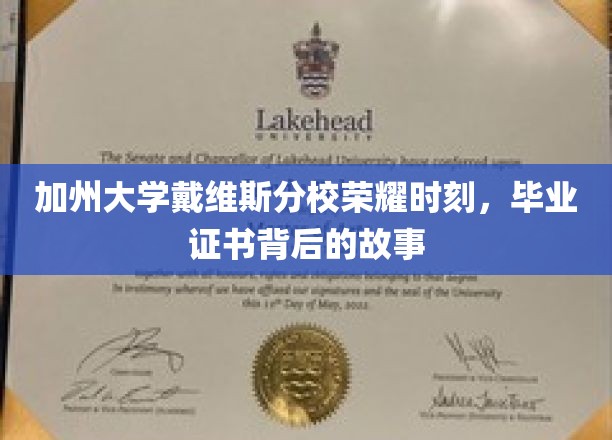 加州大学戴维斯分校荣耀时刻，毕业证书背后的故事