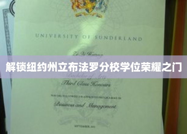 探索布法罗分校学位成就之路