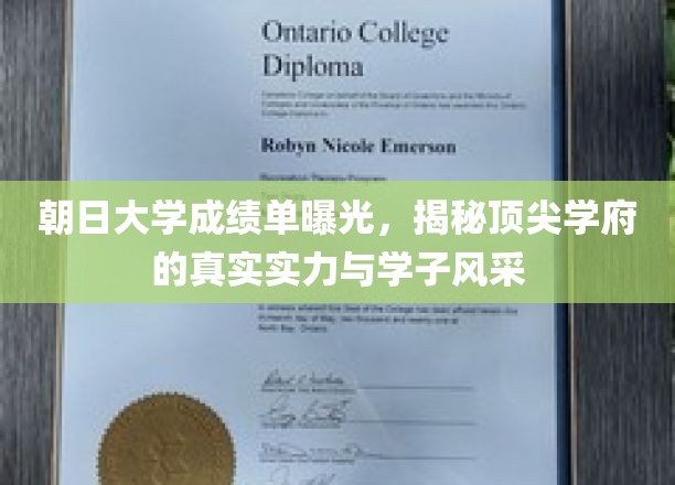 朝日大学成绩单亮相，一窥名校实力与学子卓越风采