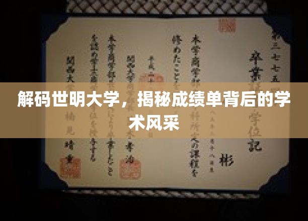 探寻世明大学，揭开成绩单背后的学术魅力