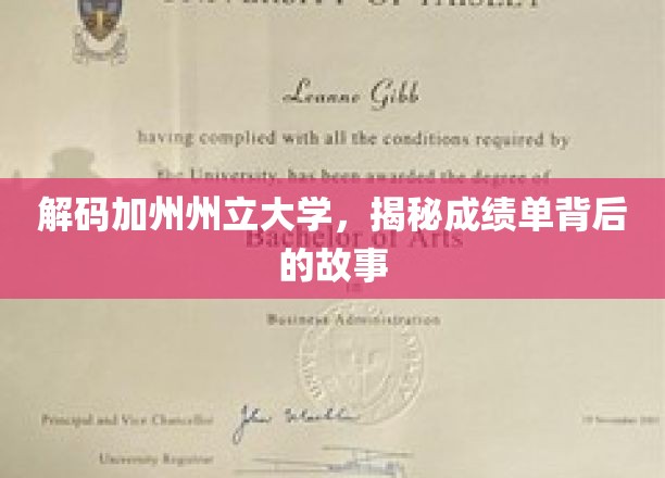 解锁加州州立大学，成绩单背后的隐藏传奇