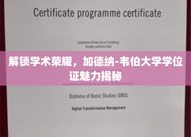 揭秘加德纳-韦伯学位，解锁学术巅峰的秘密钥匙