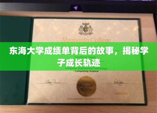 东海学子足迹，揭秘成绩单背后的成长篇章