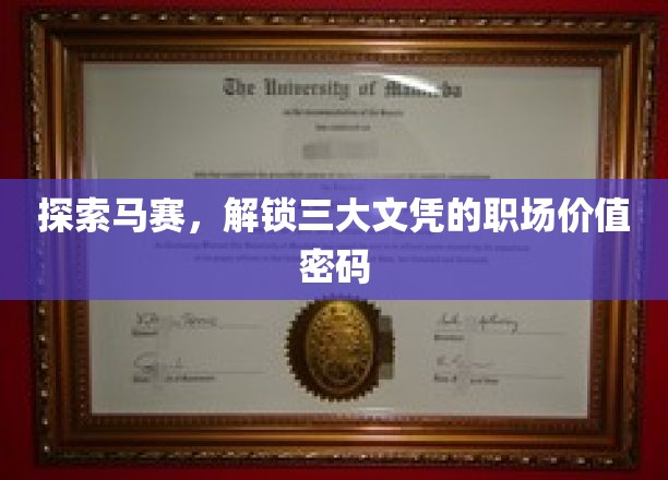 探索马赛，解锁三大文凭的职场价值密码