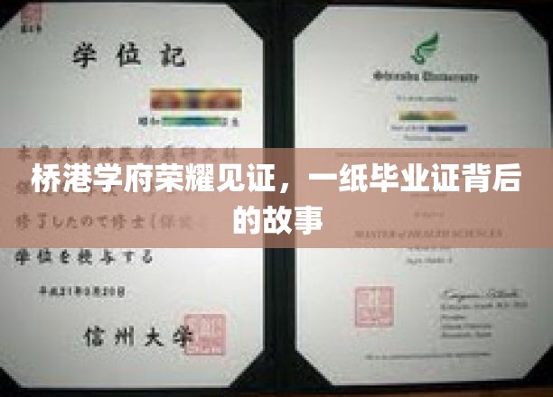 桥港学府荣耀见证，一纸毕业证背后的故事