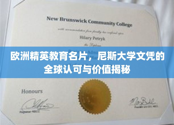跨越国界的教育通行证，尼斯大学文凭的国际声誉与价值解析