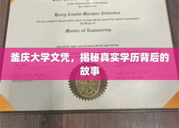 釜庆大学学历之谜，揭开背后的不凡传奇
