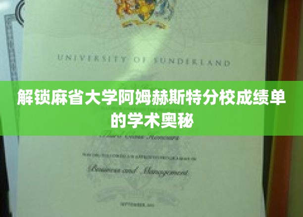 麻省大学阿姆赫斯特分校成绩单，揭秘学术成就的秘密钥匙
