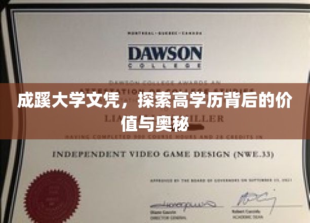 解码成蹊大学文凭，探寻高学历背后的价值密码