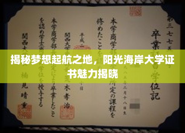 梦想启航点揭秘，阳光海岸大学证书的非凡魅力