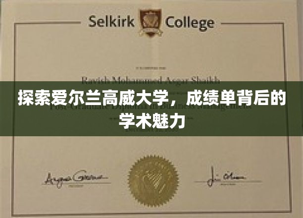 探索爱尔兰高威大学，成绩单背后的学术魅力