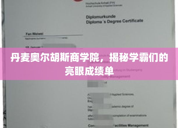 丹麦奥尔胡斯商学院，揭秘学霸们的亮眼成绩单