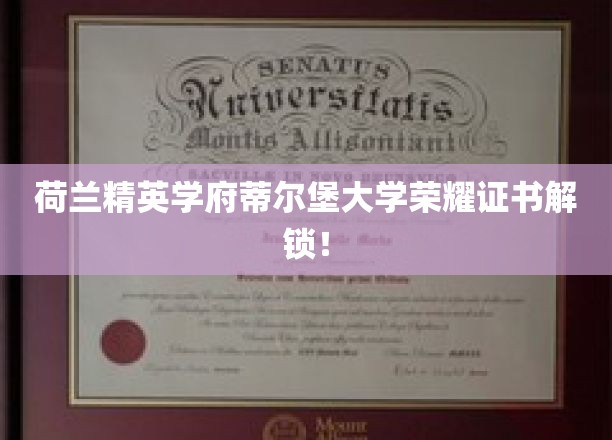 蒂尔堡大学荣耀时刻，精英学子成就展翅新篇章