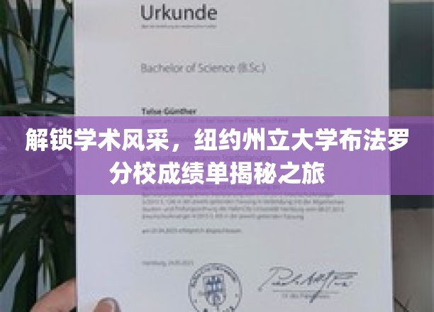 探寻纽约州立大学布法罗分校卓越成就，成绩单背后的学术之旅