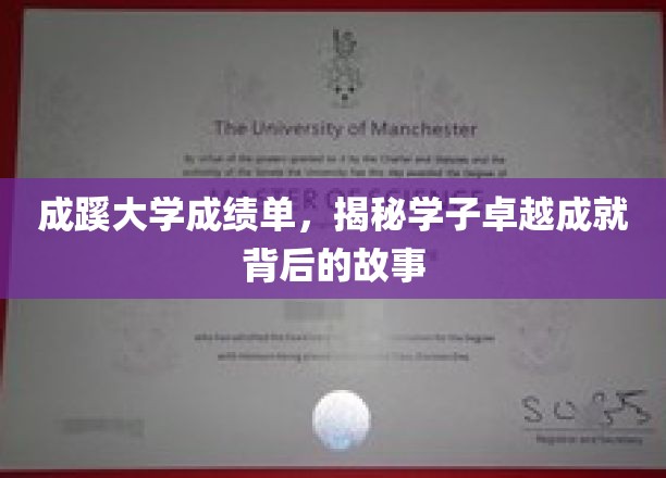 成蹊大学成绩单，探寻学子卓越成就背后的故事