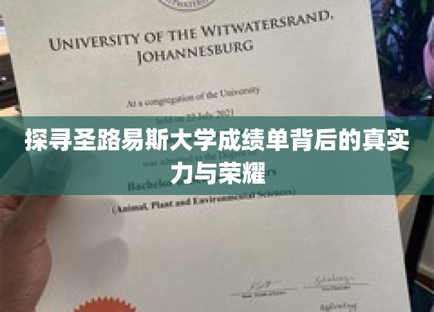 解码圣路易斯大学，揭秘学术实力与辉煌成就的密码