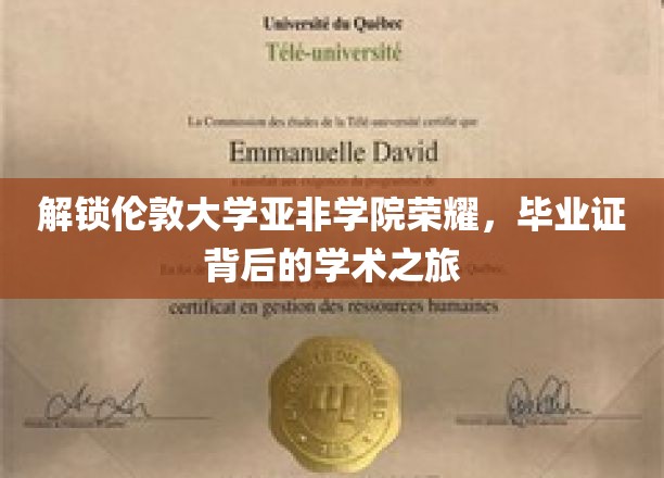 探寻伦敦亚非学院荣耀，揭秘学子背后的学术辉煌之路