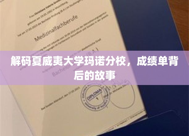 解码夏威夷大学玛诺分校，成绩单背后的故事