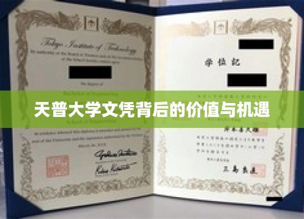 天普大学文凭背后的价值与机遇