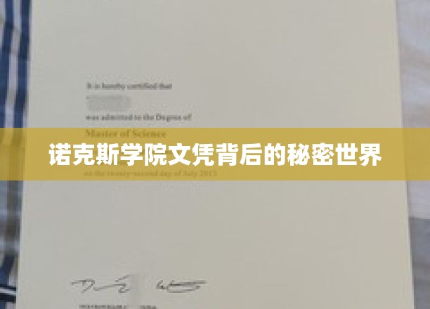 揭开诺克斯学院文凭的神秘光环