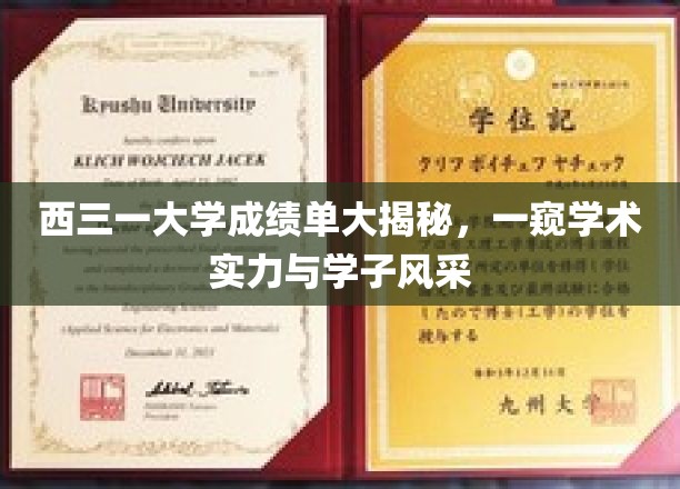 解码西三一大学，成绩单背后的学术魅力与学子风采全解析
