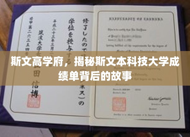 探寻斯文高学府，斯文本科技大学成绩单背后的神秘面纱