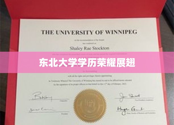 东北大学精英风采，筑梦未来，学历荣耀飞翔