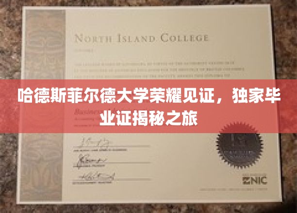 哈德斯菲尔德荣耀瞬间，探秘独家毕业证背后的故事