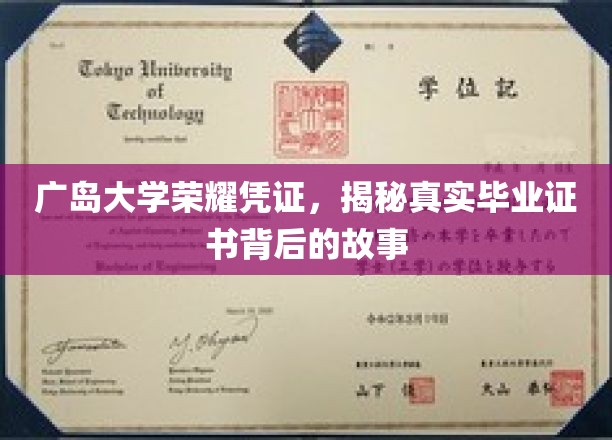 广岛大学荣耀凭证，一窥真实毕业证书背后的传奇故事